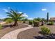 Desert landscaped backyard showcasing a stone pathway, mature palm trees, and shrubs at 1775 N 164Th Dr, Goodyear, AZ 85395