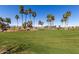 Lush golf course with palm trees and manicured greens, offering a serene recreational space at 1775 N 164Th Dr, Goodyear, AZ 85395