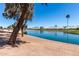 Picturesque pond surrounded by lush landscaping and mature trees at 1775 N 164Th Dr, Goodyear, AZ 85395