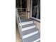 Steps leading to the home's entrance, featuring a railing and carpeted steps at 2058 S Walla Walla Cir, Apache Junction, AZ 85119