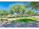 Inviting playground with mature trees, bench seating, and modern play equipment for outdoor Gathering fun at 24805 W Vista Norte St, Buckeye, AZ 85326