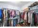 Spacious walk-in closet with organized storage, including hanging rods, shelves, and overhead storage for ample clothing at 26336 W Tina Ln, Buckeye, AZ 85396