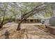 Spacious brick-paved backyard patio with mature shade trees, shed, and outdoor cooking area at 3224 W Ironwood Dr, Phoenix, AZ 85051