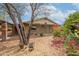 Charming home exterior with a covered patio, desert landscaping, and a mature shade tree at 3224 W Ironwood Dr, Phoenix, AZ 85051