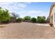 Spacious backyard with gravel landscaping and mature trees, offering plenty of room for outdoor activities at 3253 N 138Th Ave, Avondale, AZ 85392