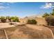 Wide shot of a backyard with mature landscaping and a low block wall at 3348 E Sequoia Dr, Phoenix, AZ 85050
