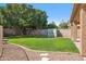 Large backyard with green grass, brick wall, storage shed, gravel border and large tree at 4829 E Charleston Ave, Scottsdale, AZ 85254