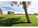 Scenic golf course view with lush green grass and mature trees under a blue sky at 9363 E Mendoza Ave, Mesa, AZ 85209