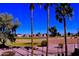 Scenic backyard view overlooking the golf course, framed by palm trees at 1353 S Western Skies Dr, Gilbert, AZ 85296