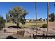 Picture-perfect golf course view with mature trees, enhancing the property's appeal and tranquility at 1353 S Western Skies Dr, Gilbert, AZ 85296