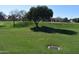 Scenic green space with mature trees and a well-maintained lawn at 1353 S Western Skies Dr, Gilbert, AZ 85296