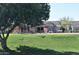 A large tree overlooks a playground in a grassy park at 1353 S Western Skies Dr, Gilbert, AZ 85296