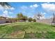 Spacious backyard featuring lush green grass, mature trees, and a cozy seating area at 1978 E Connemara Dr, San Tan Valley, AZ 85140