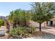 Single-story home with two-car garage and desert landscaping, including cacti and mature trees at 219 E Valley View Dr, Phoenix, AZ 85042