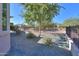 The backyard features desert landscaping and an iron fence that provides privacy for outdoor relaxation at 391 N San Ricardo Trl, Casa Grande, AZ 85194