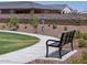 Close-up of a community bench with sidewalk and landscaped green space with neighborhood homes in the background at 41740 W Sonoran Trl, Maricopa, AZ 85138