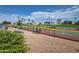 Outdoor pickle ball court with green fencing, palm trees, and nearby community buildings at 650 N Hawes Rd # 4326, Mesa, AZ 85207