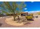 Spacious backyard featuring a covered patio, desert landscaping, and mature mesquite trees at 10649 E Saddle Blanket Trl, Gold Canyon, AZ 85118