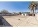 Expansive backyard with a large concrete pad, block wall, and mature palm tree providing ample shade at 1621 W Mulberry Dr, Phoenix, AZ 85015