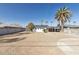 Large backyard featuring desert landscaping, a block fence, and a mature palm tree creating a private oasis at 1621 W Mulberry Dr, Phoenix, AZ 85015