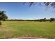 Expansive community green space features lush lawns and neighborhood homes in the background at 17200 W Bell Rd # 77, Surprise, AZ 85374
