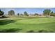 Expansive golf course view showcasing lush green fairways, mature trees, and a tranquil setting for the perfect game at 416 Leisure World --, Mesa, AZ 85206