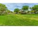 Vast, manicured green space featuring mature trees and a charming gazebo, ideal for outdoor activities and relaxation at 4289 E Jasper Dr, Gilbert, AZ 85296