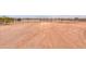 Ground level view of horse property showing the dirt road and fenced pasture with grazing horses at 7209 N Maple St, Maricopa, AZ 85139