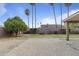 Large backyard patio featuring mature citrus trees and palm trees at 843 W Nido Ave, Mesa, AZ 85210