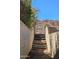 Concrete stairs lead up a hillside, flanked by low brick walls and desert vegetation at 923 E Aire Libre Ave, Phoenix, AZ 85022