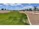 Well-maintained community green space with trees lining the sidewalks at 9840 W Agora Ln, Tolleson, AZ 85353
