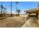 Low maintenance backyard with a covered patio, and mature palm trees at 1406 W Charleston Ave, Phoenix, AZ 85023