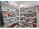 Walk-in pantry features an abundance of shelving for optimal storage and organization of goods at 1814 N Parkside Ln, Casa Grande, AZ 85122