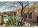 Landscaped backyard with large pool area, desert foliage, and home exterior at 34463 N 99Th Way, Scottsdale, AZ 85262