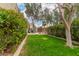 Well-manicured backyard featuring a patio area, lush green lawn, and mature trees, ideal for outdoor living at 4266 S Winter Ln, Gilbert, AZ 85297