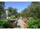 Backyard kitchen garden with raised beds, brick borders, gravel pathways, and an olive tree, perfect for fresh ingredients at 5858 E Caballo Dr, Paradise Valley, AZ 85253