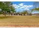 Expansive front yard with mature trees and well-maintained landscaping leading to a charming single-story home at 13603 W Remuda Dr, Peoria, AZ 85383