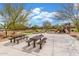 Community playground featuring picnic tables, lush trees, a colorful climbing structure and slide, for outdoor recreation at 13603 W Remuda Dr, Peoria, AZ 85383