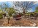 Backyard includes mature trees and plants, plus several garden plots in raised beds at 1622 E Silverbirch Ave, Buckeye, AZ 85326