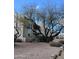 A lovely apartment building with attractive desert landscaping and mature Mesquite trees at 16624 E Palisades Blvd # 101, Fountain Hills, AZ 85268