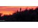 Desert landscape with silhouettes of cacti at dusk, bathed in warm orange and red hues at 20630 N 42Nd Ave, Glendale, AZ 85308