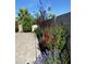 Beautiful backyard landscape featuring a stone-paved area with colorful flowering plants and a privacy wall at 4432 E Carmel Ave, Mesa, AZ 85206