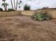 Large, empty backyard is enclosed by a block fence, showcasing desert landscaping with palm trees at 5220 E Winchcomb Dr, Scottsdale, AZ 85254