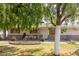 Charming single-story home with a well-maintained lawn, mature tree, and inviting facade at 6235 N 25Th Ave, Phoenix, AZ 85015