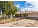 Charming single-story home with a basketball hoop, mature tree, and cozy front garden at 6235 N 25Th Ave, Phoenix, AZ 85015
