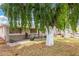 Single-story home with a well-manicured lawn, a decorative fence, and a mature shade tree at 6235 N 25Th Ave, Phoenix, AZ 85015