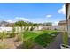 Well-maintained backyard with lush green lawn, tasteful landscaping, and a privacy wall at 730 W Wind Cave Dr, San Tan Valley, AZ 85140