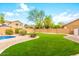 Lush backyard offers a well-manicured lawn and privacy, ideal for outdoor activities and relaxation at 9758 E Monterey Ave, Mesa, AZ 85209