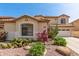 Tan home featuring mature desert landscaping, including cacti, colorful flowers, and rock ground cover at 17005 S Coleman St, Phoenix, AZ 85045