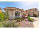 Landscaped front yard with desert plants, decorative rocks, and flowering bushes, enhancing the curb appeal at 17005 S Coleman St, Phoenix, AZ 85045
